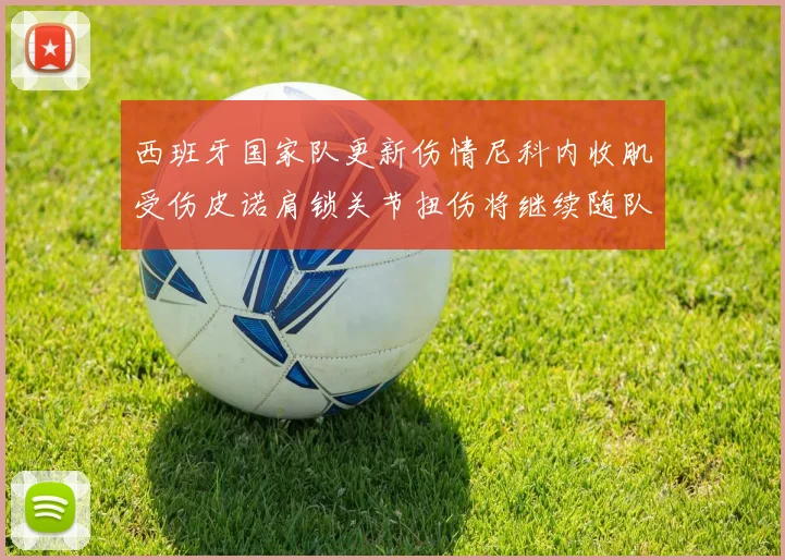 西班牙国家队更新伤情尼科内收肌受伤皮诺肩锁关节扭伤将继续随队训练