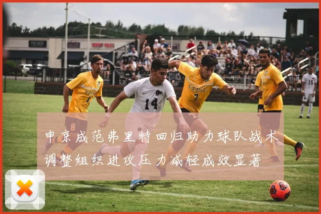 申京成范弗里特回归助力球队战术调整组织进攻压力减轻成效显著