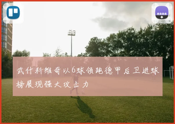 武什科维奇以6球领跑德甲后卫进球榜展现强大攻击力